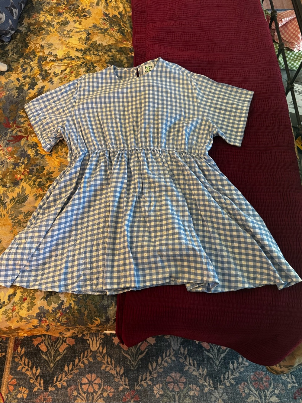 Shiny by Nature blue gingham dress
